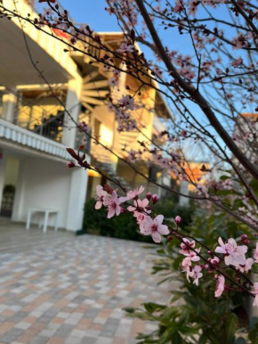 Apartman Ivana